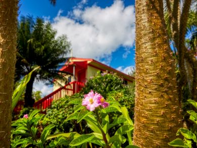 Lovely Cottage Captiva Around 300ft to the Beach